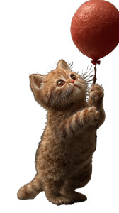 Cute Kitten Play Vinyl Car Decal Sticker – Waterproof & UV-Resistant 