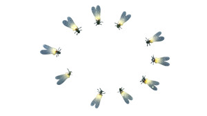 Glowing Fireflies Circle Vinyl Car Decal Sticker – Waterproof & UV-Resistant 