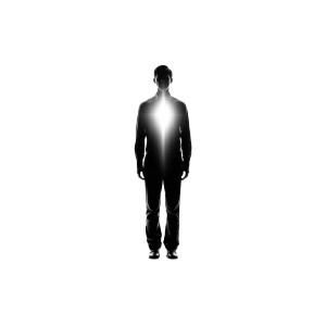 Radiant Silhouette V4 Vinyl Car Decal Sticker – Waterproof & UV-Resistant Radiant Silhouette V4 Vinyl Car Decal Sticker – Waterproof & UV-Resistant