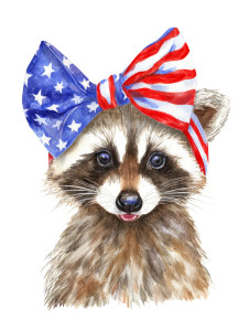 Patriotic Raccoon V19 Vinyl Car Decal Sticker – Waterproof & UV-Resistant 