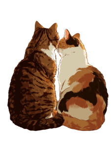 Cats On Windowsill Vinyl Car Decal Sticker – Waterproof & UV-Resistant Cats On Windowsill Vinyl Car Decal Sticker – Waterproof & UV-Resistant