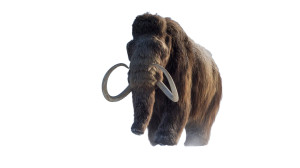 Wooly Mammoth Arctic Vinyl Car Decal Sticker – Waterproof & UV-Resistant 