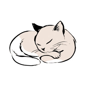 Sleeping Cat V16 Vinyl Car Decal Sticker – Waterproof & UV-Resistant 