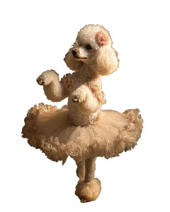 Ballerina Poodle Vinyl Car Decal Sticker – Waterproof & UV-Resistant 