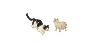 Leaping Cat Dawn Vinyl Car Decal Sticker – Waterproof & UV-Resistant 