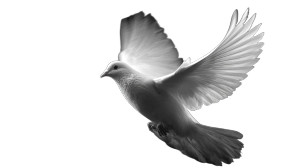 Glowing White Dove V4 Vinyl Car Decal Sticker – Waterproof & UV-Resistant 