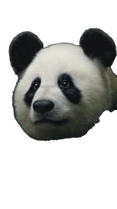 Giant Panda Yimao Vinyl Car Decal Sticker – Waterproof & UV-Resistant 