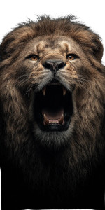 Roaring Lion V17 Vinyl Car Decal Sticker – Waterproof & UV-Resistant 