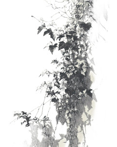 Retro Ivy Illustration Vinyl Car Decal Sticker – Waterproof & UV-Resistant 