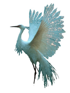 Graceful Crane Fairy Vinyl Car Decal Sticker – Waterproof & UV-Resistant Graceful Crane Fairy Vinyl Car Decal Sticker – Waterproof & UV-Resistant