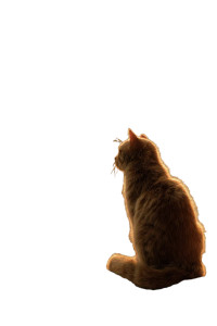 Yawning Cat Deity Vinyl Car Decal Sticker – Waterproof & UV-Resistant 