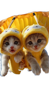 Kittens In Banana Costumes Vinyl Car Decal Sticker – Waterproof & UV-Resistant 