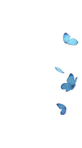 Fantasy Butterfly Scene V4 Vinyl Car Decal Sticker – Waterproof & UV-Resistant Fantasy Butterfly Scene V4 Vinyl Car Decal Sticker – Waterproof & UV-Resistant