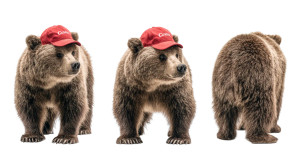Brown Bear Cap V2 Vinyl Car Decal Sticker – Waterproof & UV-Resistant 