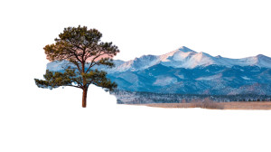 Lone Pine Sunset Vinyl Car Decal Sticker – Waterproof & UV-Resistant Lone Pine Sunset Vinyl Car Decal Sticker – Waterproof & UV-Resistant