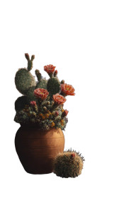 Desert Still Life Vinyl Car Decal Sticker – Waterproof & UV-Resistant 