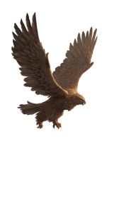 Majestic Mythical Griffin Vinyl Car Decal Sticker – Waterproof & UV-Resistant 