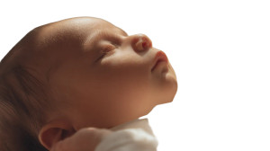 Newborn Baby Cheeks V2 Vinyl Car Decal Sticker – Waterproof & UV-Resistant 