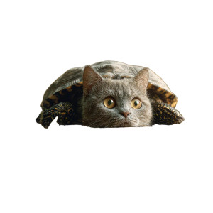 Turtle Cat Hybrid Vinyl Car Decal Sticker – Waterproof & UV-Resistant Turtle Cat Hybrid Vinyl Car Decal Sticker – Waterproof & UV-Resistant