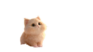 Chubby Baby Kitten Vinyl Car Decal Sticker – Waterproof & UV-Resistant Chubby Baby Kitten Vinyl Car Decal Sticker – Waterproof & UV-Resistant