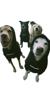 Angry Hoodie Dogs V2 Vinyl Car Decal Sticker – Waterproof & UV-Resistant 