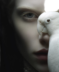 Albino Parrot Woman Vinyl Car Decal Sticker – Waterproof & UV-Resistant 