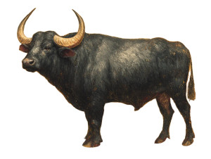 Indian Buffalo Painting Vinyl Car Decal Sticker – Waterproof & UV-Resistant 