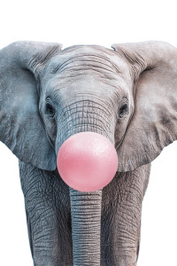 Giant Bubblegum Elephant Vinyl Car Decal Sticker – Waterproof & UV-Resistant 