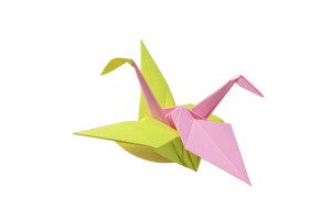 Origami Bird Illustration Vinyl Car Decal Sticker – Waterproof & UV-Resistant Origami Bird Illustration Vinyl Car Decal Sticker – Waterproof & UV-Resistant