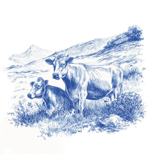 Two Cows V2 Vinyl Car Decal Sticker – Waterproof & UV-Resistant 