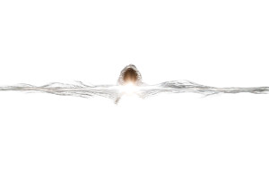 Quantum Teleport Vinyl Car Decal Sticker – Waterproof & UV-Resistant 