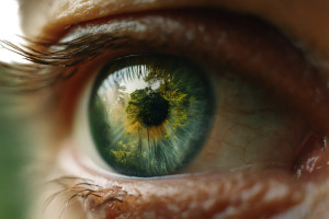 Reflective Eye Close-Up V4 Vinyl Car Decal Sticker – Waterproof & UV-Resistant 