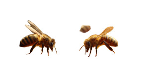 Golden Honeycomb Bees Vinyl Car Decal Sticker – Waterproof & UV-Resistant 