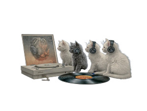 Curious Kitten Quartet Vinyl Car Decal Sticker – Waterproof & UV-Resistant 