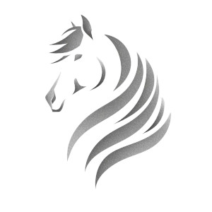 Abstract Equestrian Logo Vinyl Car Decal Sticker – Waterproof & UV-Resistant 