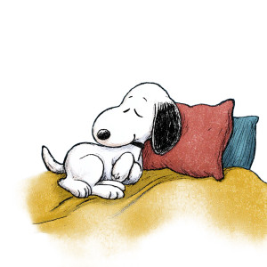 Sleepy Snoopy Vinyl Car Decal Sticker – Waterproof & UV-Resistant 