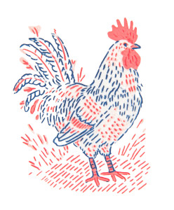 Minimalist Rooster Illustration V3 Vinyl Car Decal Sticker – Waterproof & UV-Resistant 