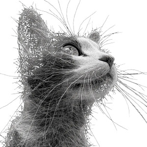 Wireframe Cat Vinyl Car Decal Sticker – Waterproof & UV-Resistant Wireframe Cat Vinyl Car Decal Sticker – Waterproof & UV-Resistant