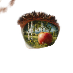 Reflective Eye Close-Up V5 Vinyl Car Decal Sticker – Waterproof & UV-Resistant 