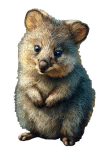 Quokka Puzzle Vinyl Car Decal Sticker – Waterproof & UV-Resistant 