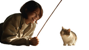Korean Owner With Cat Vinyl Car Decal Sticker – Waterproof & UV-Resistant 