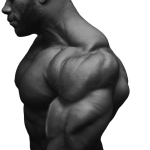 Bodybuilder Posing Vinyl Car Decal Sticker – Waterproof & UV-Resistant Bodybuilder Posing Vinyl Car Decal Sticker – Waterproof & UV-Resistant