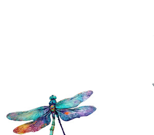 Vibrant Dragonflies Blooms Vinyl Car Decal Sticker – Waterproof & UV-Resistant 