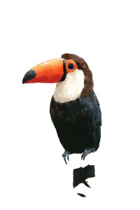 Toucan Illustration V2 Vinyl Car Decal Sticker – Waterproof & UV-Resistant 
