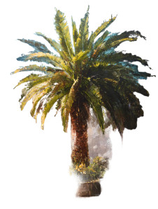 Majestic Palm Tree Vinyl Car Decal Sticker – Waterproof & UV-Resistant 