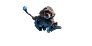 Golden Spaniel Wizard Vinyl Car Decal Sticker – Waterproof & UV-Resistant 