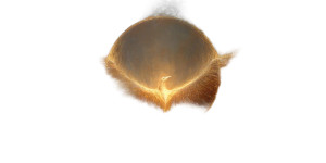 Phoenix Reborn V2 Vinyl Car Decal Sticker – Waterproof & UV-Resistant 