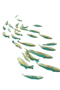Van Gogh Fish Vinyl Car Decal Sticker – Waterproof & UV-Resistant 