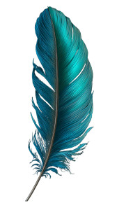 Turquoise Feather Vinyl Car Decal Sticker – Waterproof & UV-Resistant 