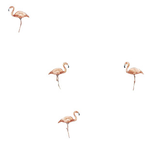 Flamingos In Florida Vinyl Car Decal Sticker – Waterproof & UV-Resistant 